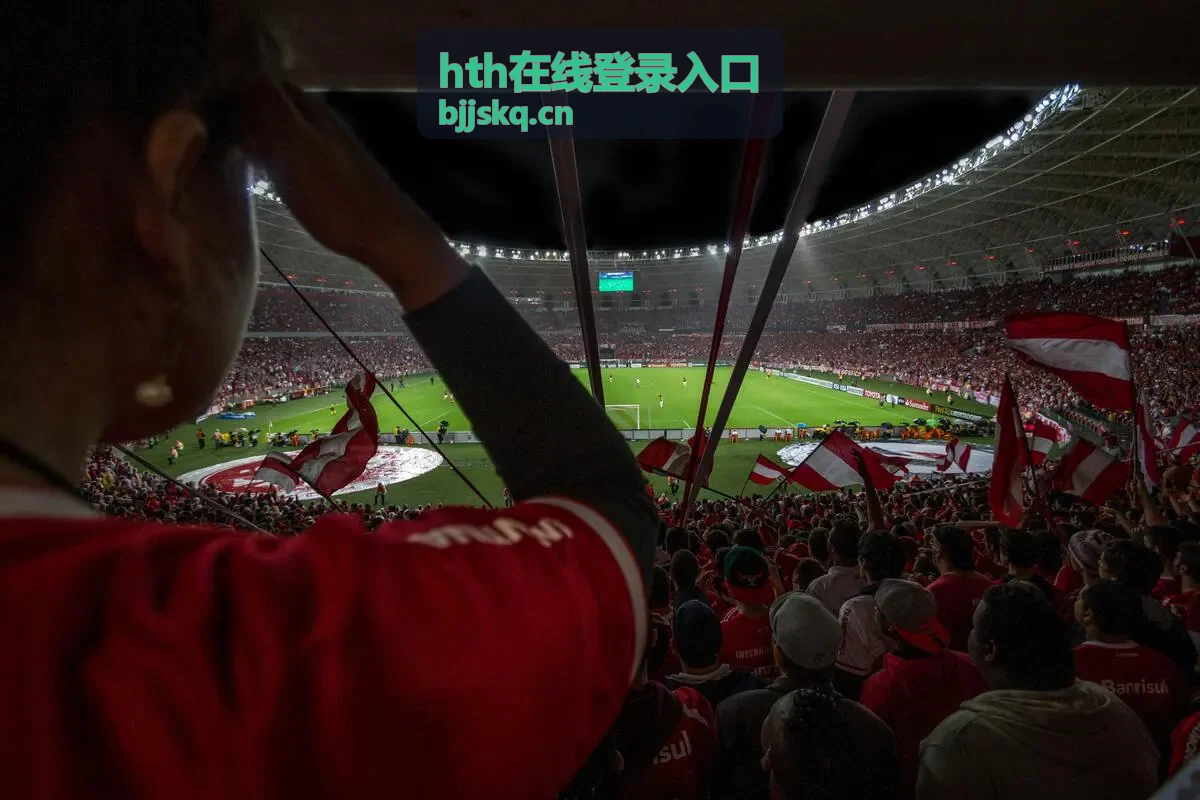 hth在线登录入口账号安全状态查看示意