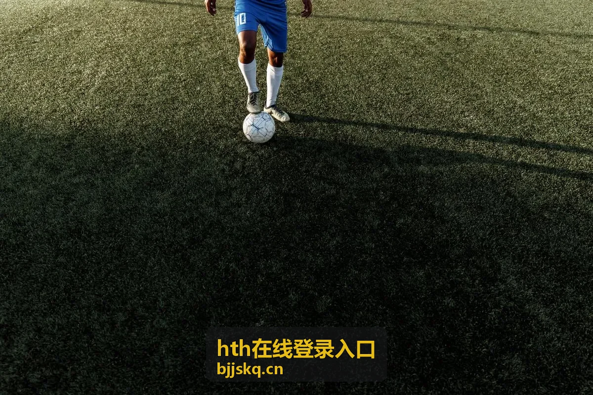 hth在线登录入口账号密码强度设置示意