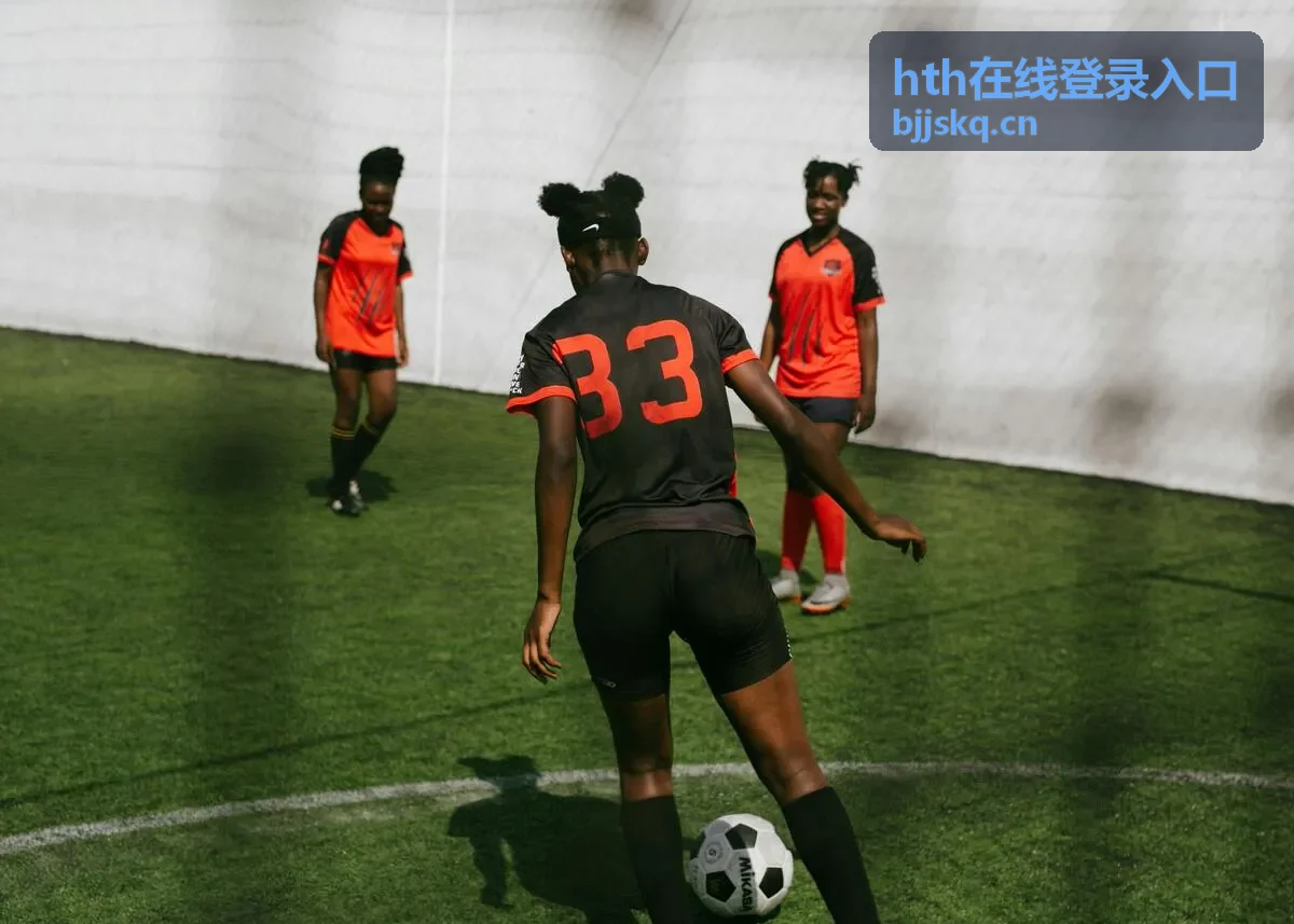 hth在线登录入口登录后功能区域分布示意