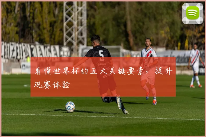 看懂世界杯的五大关键要素，提升观赛体验